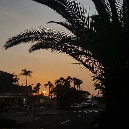 Ambiente * Arona (Tenerife)
